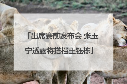 出席赛前发布会 张玉宁透露将搭档王钰栋