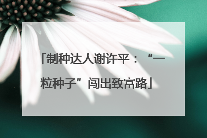 制种达人谢许平：“一粒种子”闯出致富路