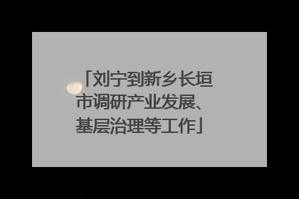 刘宁到新乡长垣市调研产业发展、基层治理等工作