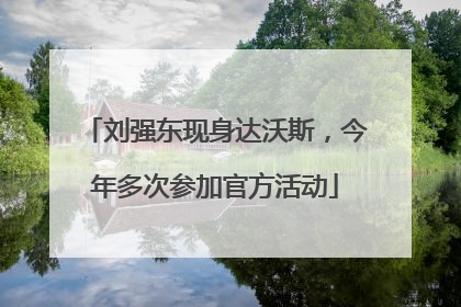 刘强东现身达沃斯，今年多次参加官方活动