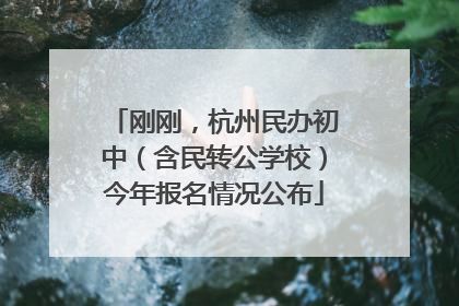 刚刚，杭州民办初中（含民转公学校）今年报名情况公布