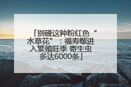 别碰这种粉红色“水草花”：福寿螺进入繁殖旺季 寄生虫多达6000条