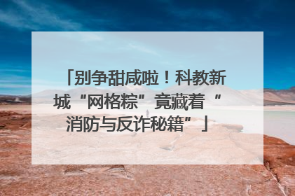 别争甜咸啦！科教新城“网格粽”竟藏着“消防与反诈秘籍”