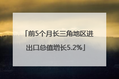 前5个月长三角地区进出口总值增长5.2%