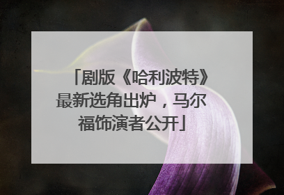 剧版《哈利波特》最新选角出炉，马尔福饰演者公开