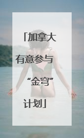 加拿大有意参与“金穹”计划