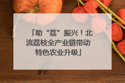 助“荔”振兴！北流荔枝全产业链带动特色农业升级