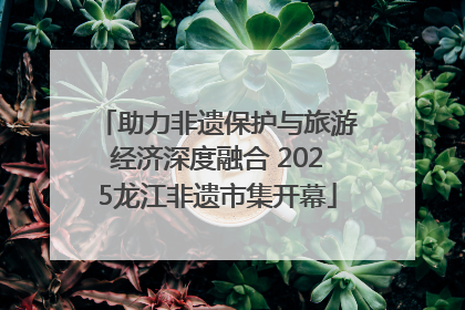 助力非遗保护与旅游经济深度融合 2025龙江非遗市集开幕