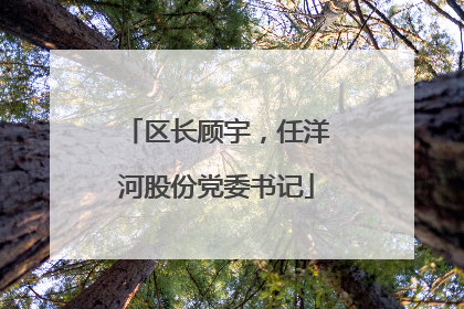 区长顾宇，任洋河股份党委书记