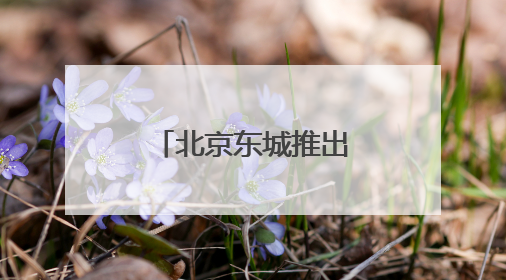 北京东城推出3条世界遗产文化探访线路