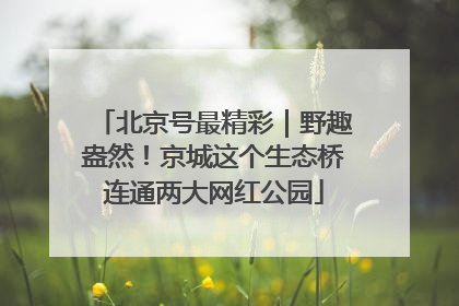 北京号最精彩｜野趣盎然！京城这个生态桥连通两大网红公园