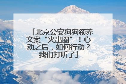 北京公安狗狗领养文案“火出圈”！心动之后，如何行动？我们打听了