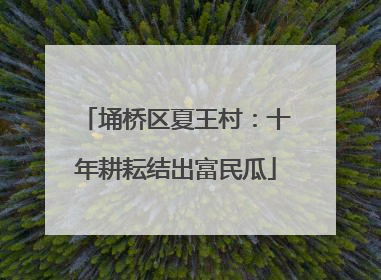 埇桥区夏王村：十年耕耘结出富民瓜