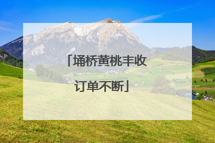 埇桥黄桃丰收 订单不断