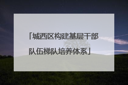 城西区构建基层干部队伍梯队培养体系