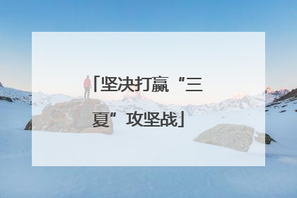 坚决打赢“三夏”攻坚战