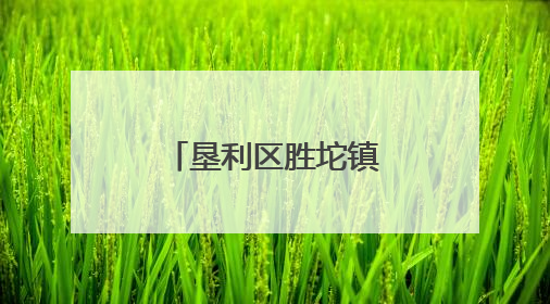 垦利区胜坨镇：粽香传邻里 端午话安康