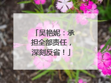 吴艳妮：承担全部责任，深刻反省！