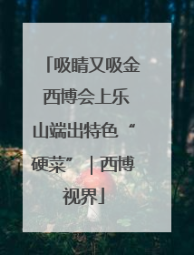 吸睛又吸金 西博会上乐山端出特色“硬菜”｜西博视界