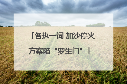 各执一词 加沙停火方案陷“罗生门”