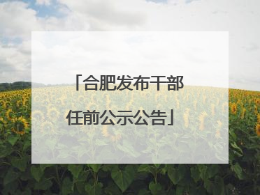 合肥发布干部任前公示公告