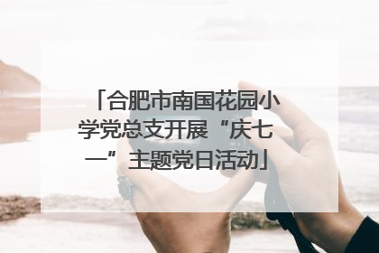 合肥市南国花园小学党总支开展“庆七一”主题党日活动