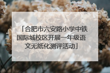合肥市六安路小学中铁国际城校区开展一年级语文无纸化测评活动