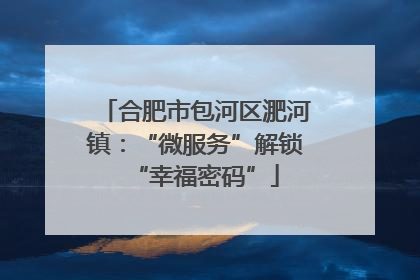 合肥市包河区淝河镇：“微服务”解锁“幸福密码”