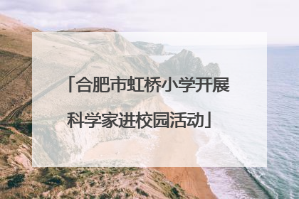 合肥市虹桥小学开展科学家进校园活动
