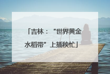 吉林：“世界黄金水稻带”上插秧忙