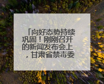 向好态势持续巩固！刚刚召开的新闻发布会上，甘肃省禁毒委向媒体公布三年禁毒工作“成绩单”