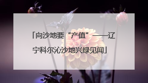 向沙地要“产值”——辽宁科尔沁沙地兴绿见闻