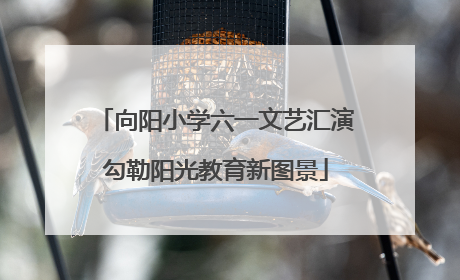 向阳小学六一文艺汇演勾勒阳光教育新图景
