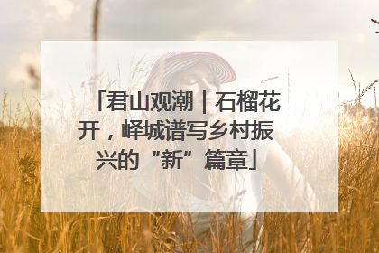 君山观潮｜石榴花开，峄城谱写乡村振兴的“新”篇章