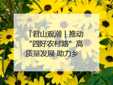 君山观潮｜推动“四好农村路”高质量发展 助力乡村振兴出新彩