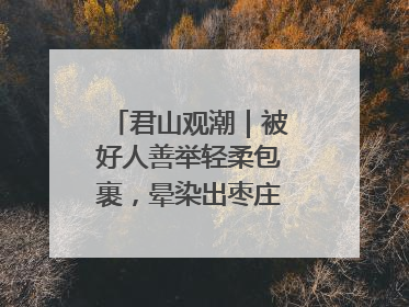 君山观潮｜被好人善举轻柔包裹，晕染出枣庄的温暖底色
