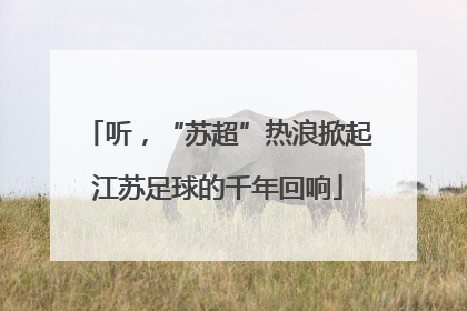 听，“苏超”热浪掀起江苏足球的千年回响