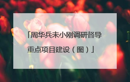 周华兵未小刚调研督导重点项目建设（图）