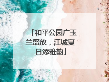 和平公园广玉兰盛放，江城夏日添雅韵