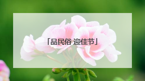 品民俗 迎佳节