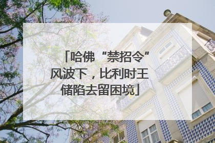 哈佛“禁招令”风波下，比利时王储陷去留困境