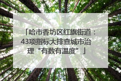 哈市香坊区红旗街道：43项指标大排查城市治理“有数有温度”