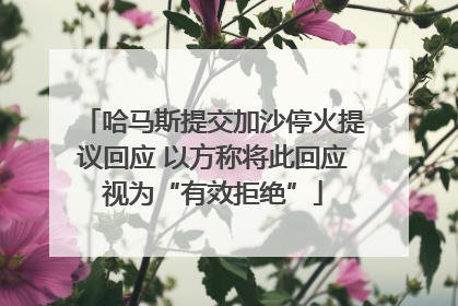 哈马斯提交加沙停火提议回应 以方称将此回应视为“有效拒绝”