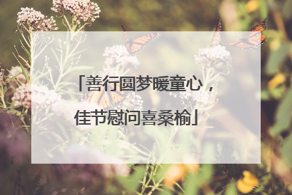 善行圆梦暖童心，佳节慰问喜桑榆