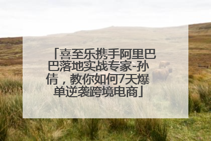 喜至乐携手阿里巴巴落地实战专家-孙倩，教你如何7天爆单逆袭跨境电商