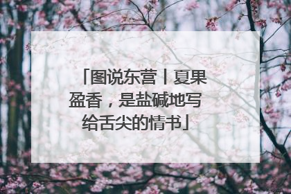 图说东营丨夏果盈香，是盐碱地写给舌尖的情书