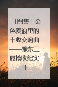 图集｜金色麦浪里的丰收交响曲——豫东三夏抢收纪实