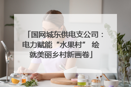 国网城东供电支公司：电力赋能“水果村” 绘就美丽乡村新画卷