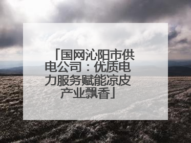 国网沁阳市供电公司：优质电力服务赋能凉皮产业飘香
