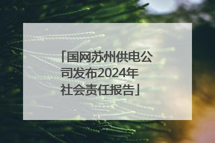国网苏州供电公司发布2024年社会责任报告